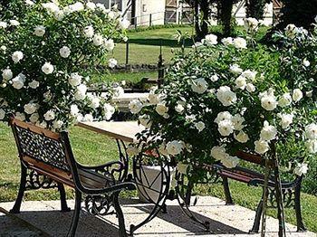 Hotel La Chaum'Yerres Chaumes-en-Brie Exteriör bild
